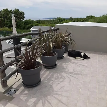 Tatil Evi Plat Cx