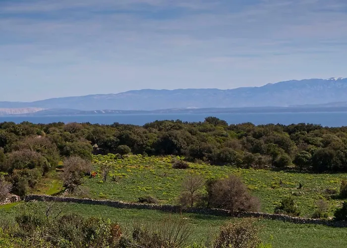 Prázdninový dům Plat Cx